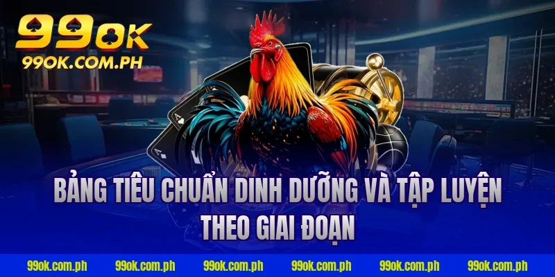 Bảng tiêu chuẩn dinh dưỡng và tập luyện theo giai đoạn