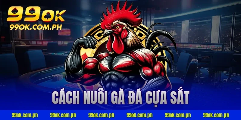 cách nuôi gà đá cựa sắt