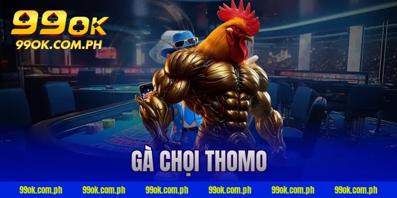 gà chọi thomo