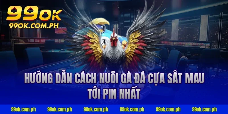 Hướng dẫn cách nuôi gà đá cựa sắt mau tới pin nhất