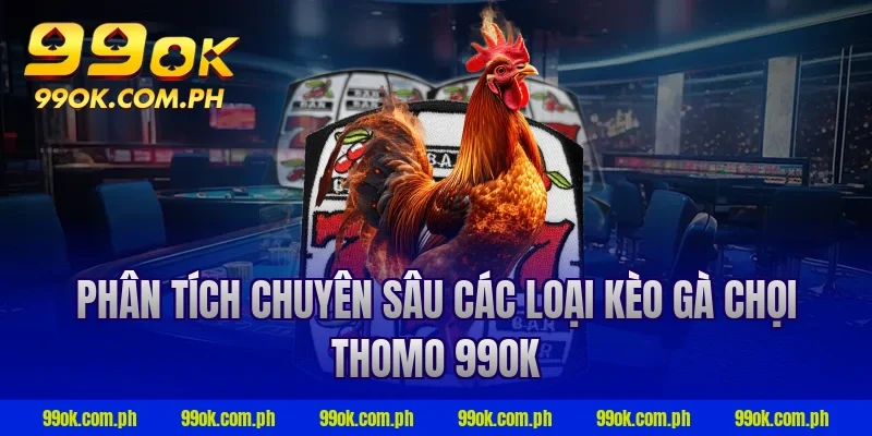Phân tích chuyên sâu các loại kèo gà chọi thomo 99OK