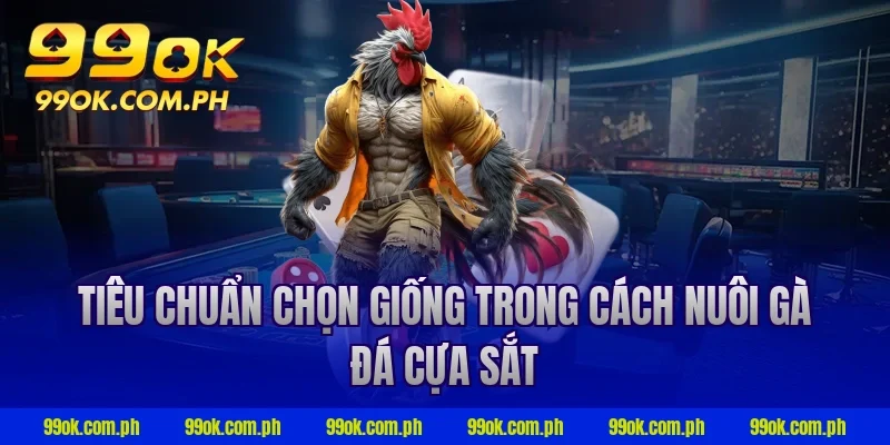 Tiêu chuẩn chọn giống trong cách nuôi gà đá cựa sắt