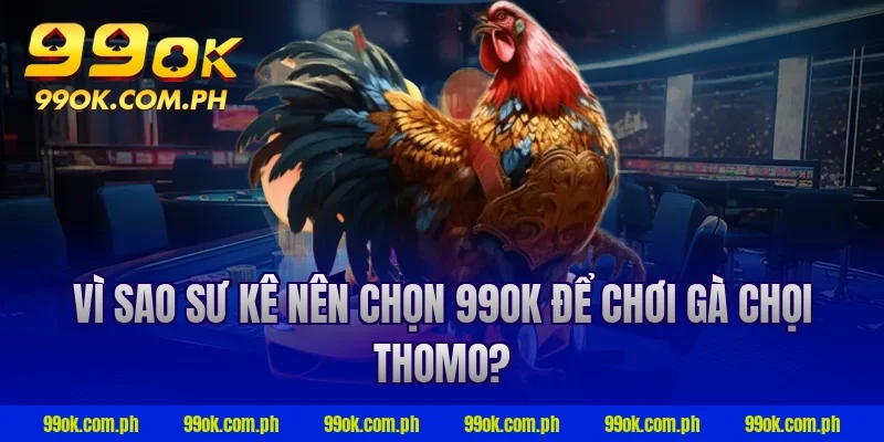Vì sao sư kê nên chọn 99OK để chơi gà chọi thomo?